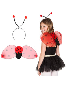 Boland Lieveheersbeestje verkleed set kind