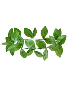 Widmann SRL Lauwerkrans groen