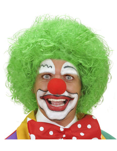 Widmann SRL pruik clown groen