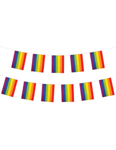 Wicked Costumes Regenboog vlaggenlijn 4m