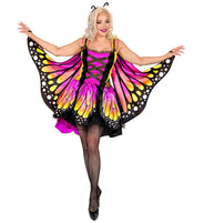 Schmetterlingsanzug