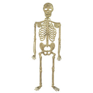 Skelettpuppe