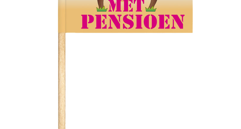 24 Cocktailprikkers 'Met Pensioen' vlaggetje met palmbomen, hangmat en roze tekst op strandprint