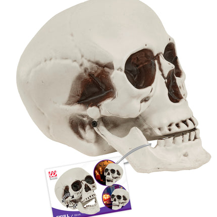 Schedel met beweegbare kaak detailopname – decoratie