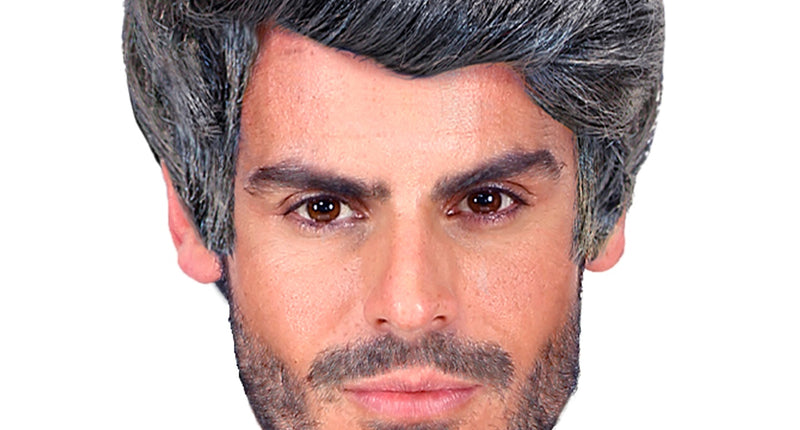 pruik rick grijs