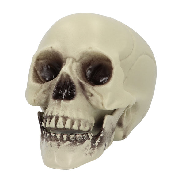 Schedel Whisperbone Halloween decoratie 15 cm