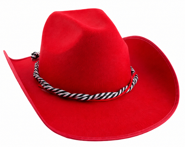 Cowboyhut Martijn in Schwarz oder Braun