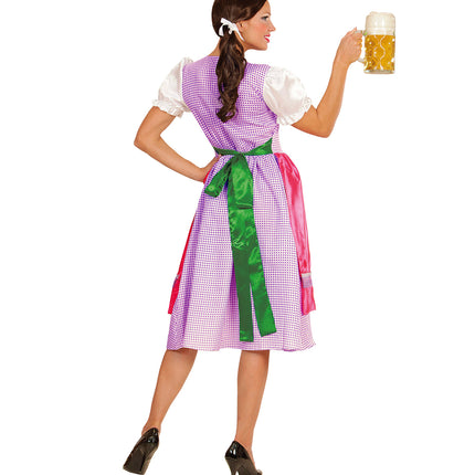 Achterkant dirndl jurk roze groen met geruite rok en groene schortlinten op de rug geknoopt