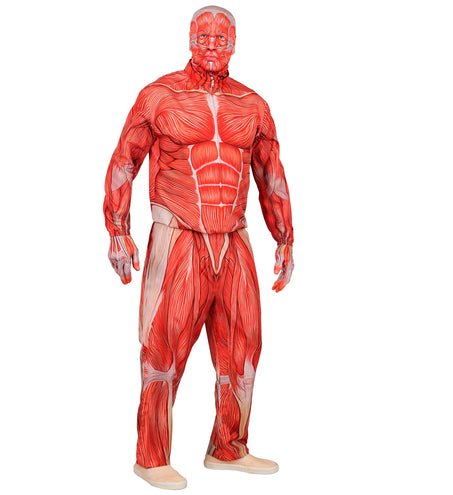 Anatomie kostuum Bente met korte rits aan de hals en opstaande kraag, vooraanzicht