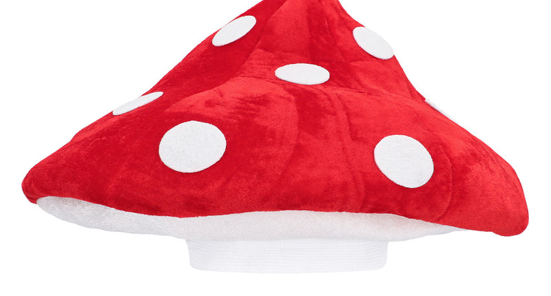 Boland Hoed Paddenstoel