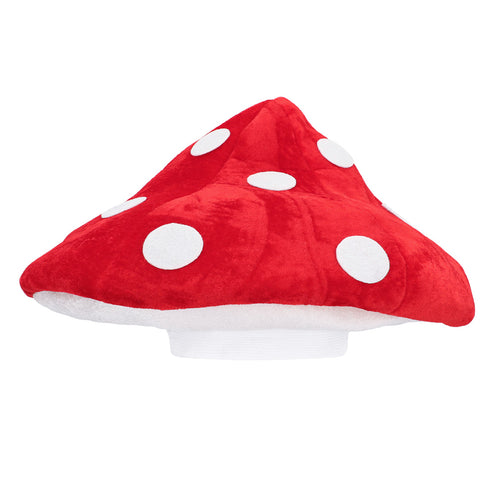 Boland Hoed Paddenstoel