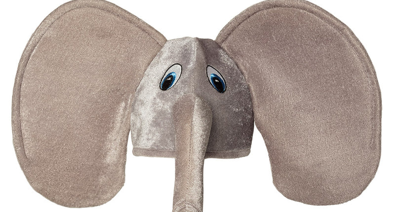 Boland Muts olifant