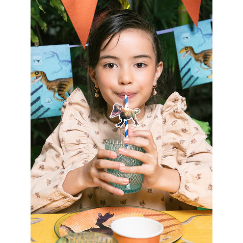 Boland PE vlaggenlijn T-rex