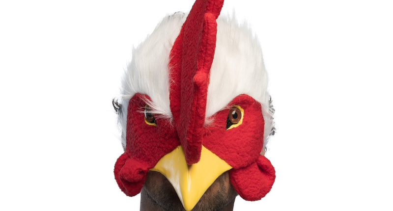 Boland Pluchen masker Haan