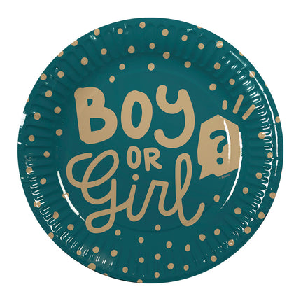 Boland Set 10 papieren bordjes 'Boy or girl?'