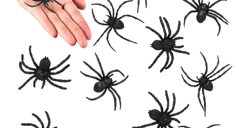 Boland Set 12 spinnen