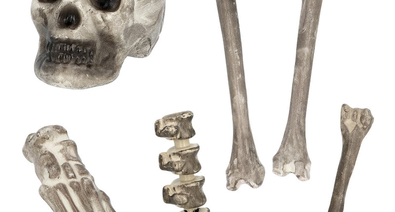 Boland Set 6 Schedel & beenderen