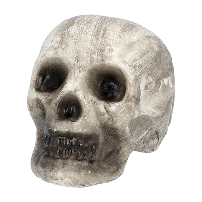 Boland Set 6 Schedel & beenderen