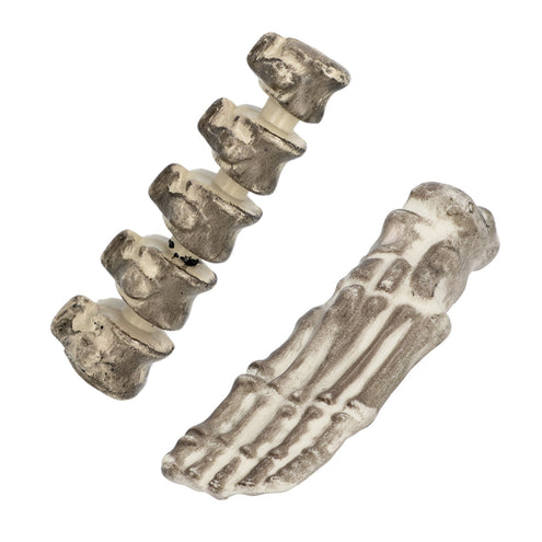 Boland Set 6 Schedel & beenderen