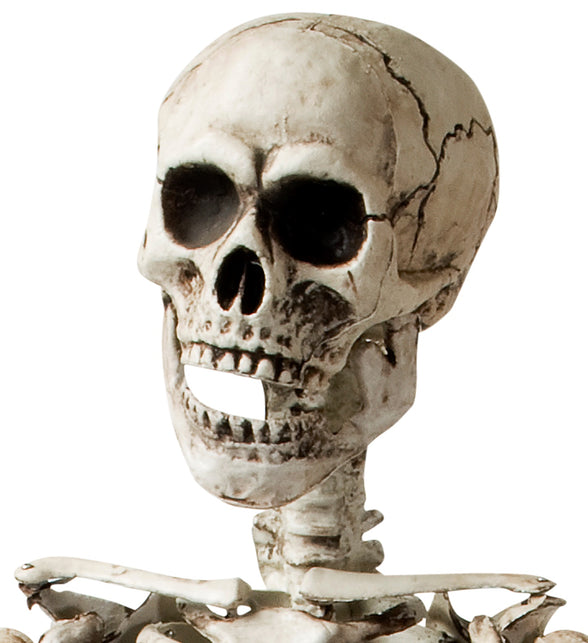 Detail van de schedel van het nep skelet met zwarte oogkassen, barst en openhangende kaak