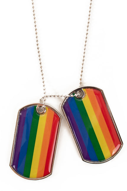 Dogtag ketting regenboog met twee plaatjes in regenboogkleuren aan zilverkleurige bolletjesketting