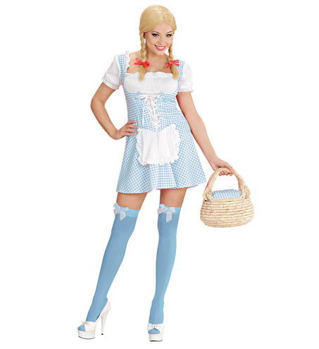 e-carnavalskleding-SYK Beiers Dirndl jurkje Erika