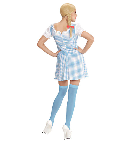 e-carnavalskleding-SYK Beiers Dirndl jurkje Erika