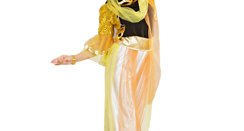 e-carnavalskleding-SYK Buikdanseres kleding Haremdanseres