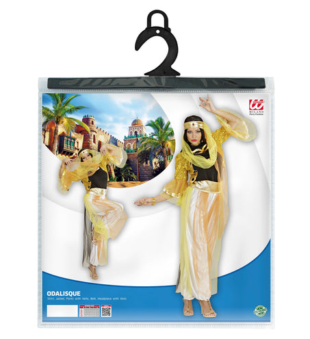 e-carnavalskleding-SYK Buikdanseres kleding Haremdanseres