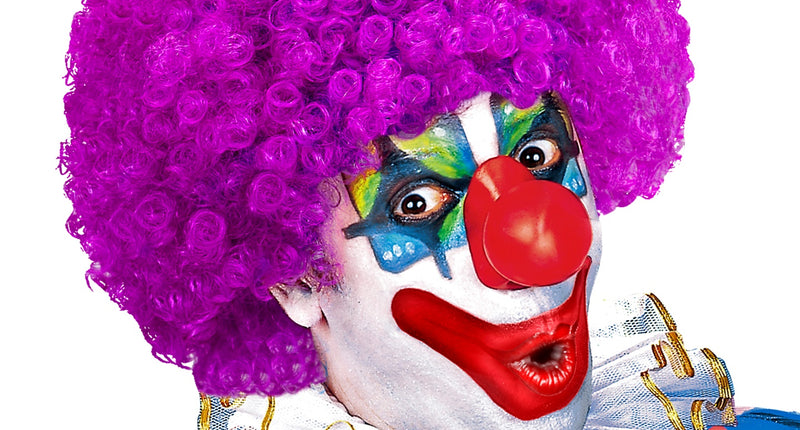 e-carnavalskleding-SYK Clownspruik krulletjes paars