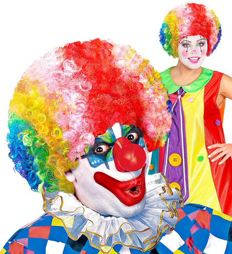 e-carnavalskleding-SYK Clownspruik regenboog