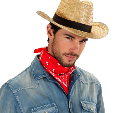 e-carnavalskleding-SYK Cowboyhoed stro Texas