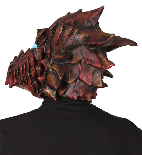 e-carnavalskleding-SYK Draken masker later
