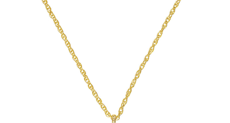 e-carnavalskleding-SYK Gouden dollarketting pooier