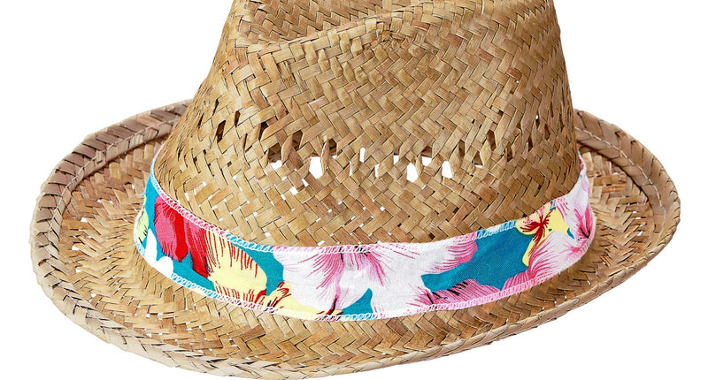 e-carnavalskleding-SYK Hoed Fedora Beach Boys