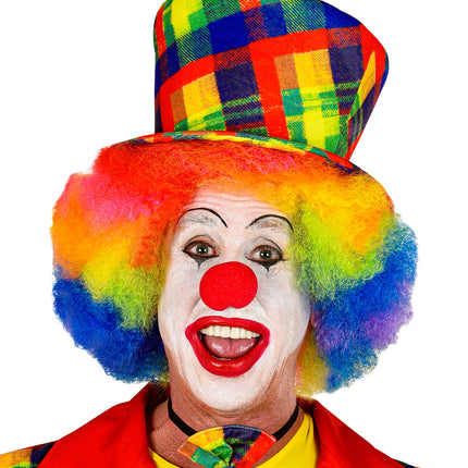 e-carnavalskleding-SYK Hoge hoed clown multi