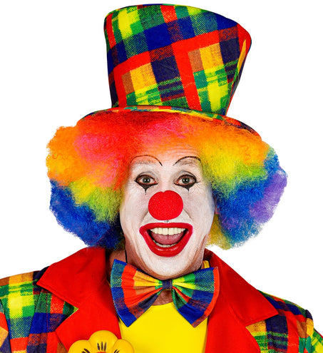 e-carnavalskleding-SYK Hoge hoed clown multi
