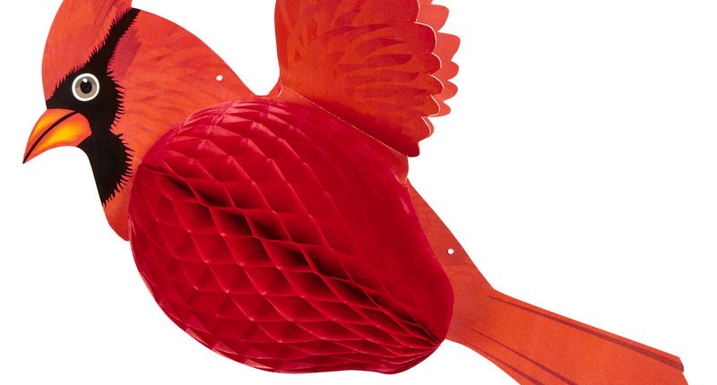 e-carnavalskleding-SYK Kardinaal vogel decoratie