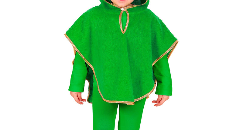 e-carnavalskleding-SYK Kikker poncho kinderen
