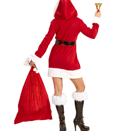 e-carnavalskleding-SYK Miss Santa Ellis kerst pakje