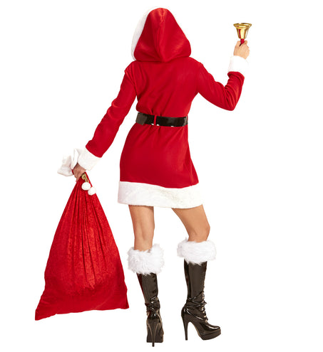 e-carnavalskleding-SYK Miss Santa Ellis kerst pakje