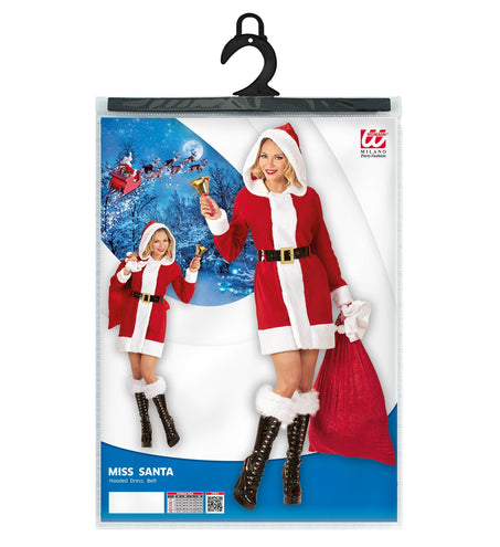 e-carnavalskleding-SYK Miss Santa Ellis kerst pakje