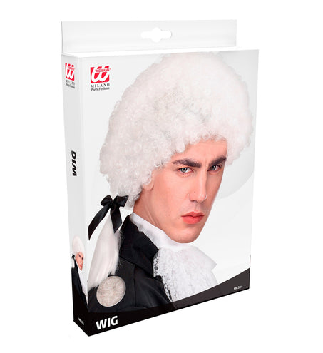 e-carnavalskleding-SYK Mozart pruik wit