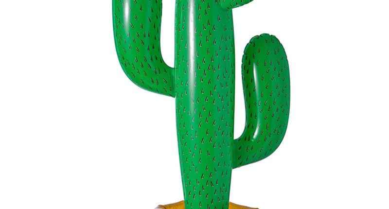 e-carnavalskleding-SYK Opblaasbare cactus
