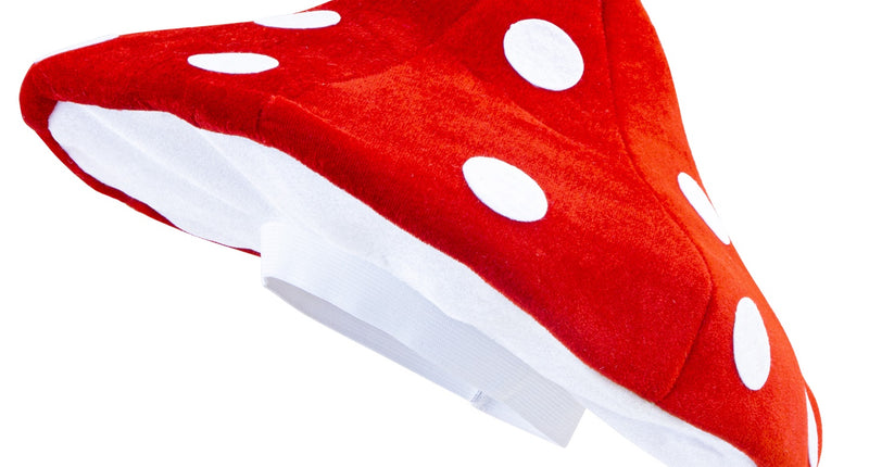 e-carnavalskleding-SYK Paddestoelen muts kabouter