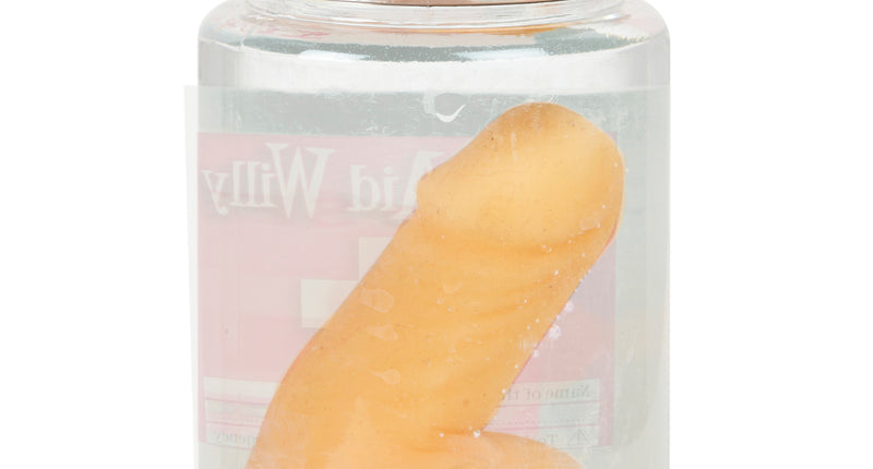 e-carnavalskleding-SYK Piemel in pot op sterk water penis