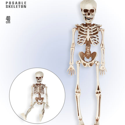 e-carnavalskleding-SYK POSEERBAAR SKELET 40CM