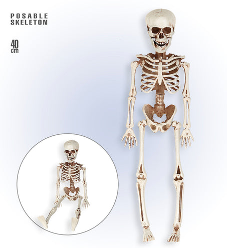 e-carnavalskleding-SYK POSEERBAAR SKELET 40CM