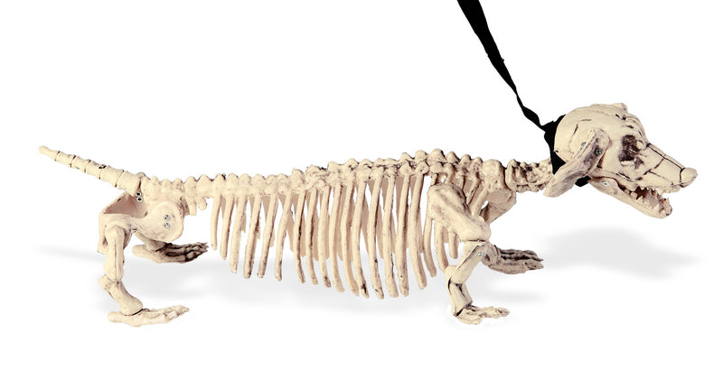 e-carnavalskleding-SYK Skelet tekkel 55cm