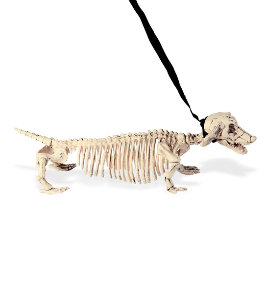 e-carnavalskleding-SYK Skelet tekkel 55cm